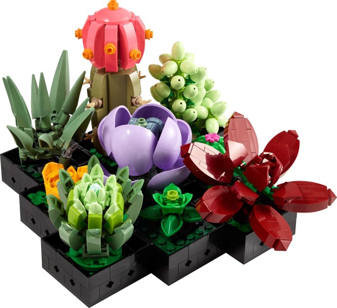 LEGO Succulents (#10309) box