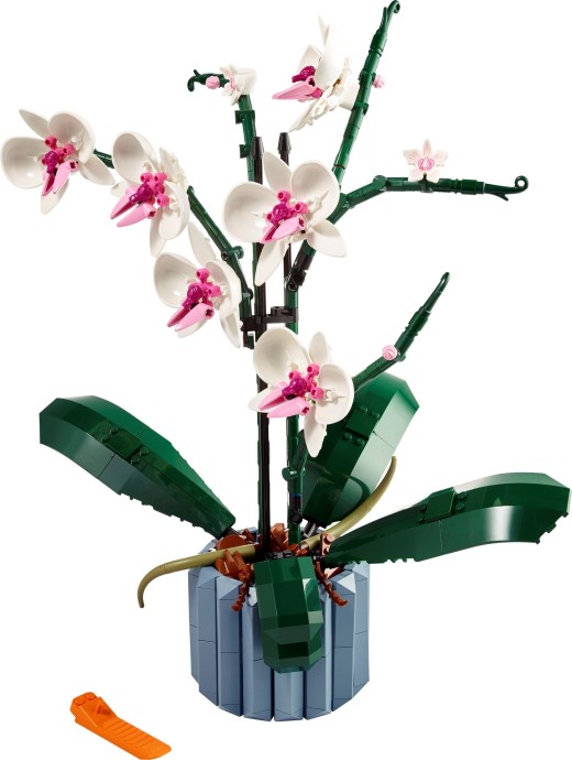 LEGO Orchid (#10311) box