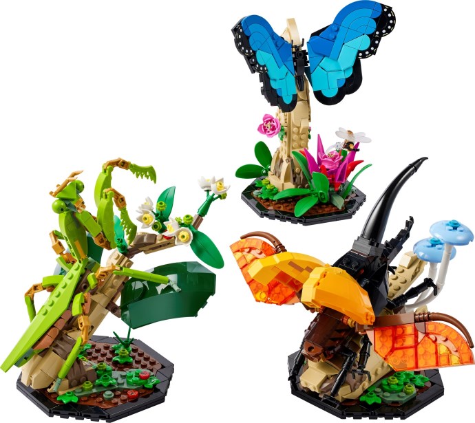 LEGO The Insect Collection (#21342) box